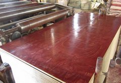 <b>此中底层支持系统为钢</b>