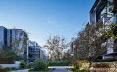 看来这更像是一种机缘